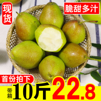 香梨10斤水果红香酥梨应季当季新鲜整箱现摘梨子非库尔勒带箱【三天内发货】