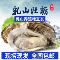[活鲜]乳山牡蛎鲜活生蚝5斤新鲜带壳海蛎子正宗海鲜水产
