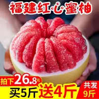 福建管溪蜜柚红心柚子10斤新鲜水果当季平和红肉柚子三红柚10[三天内发货]