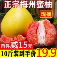 红心柚子新鲜红肉蜜柚应季水果带箱10斤梅州蜜柚当季孕妇水果【三天内发货】