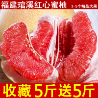 先鲜果源现摘四川蒲江琯溪蜜柚红肉红心柚子带箱10斤新鲜水果红柚【三天内发货】