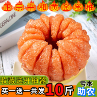 现摘平和管溪金蜜柚10斤新鲜当季孕妇水果肉蜜柚非红心柚【三天内发货】
