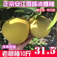 安江雪峰冰糖柚老树10斤新鲜水果柚子湖南怀化小苦柚白心福建蜜柚【三天内发货】