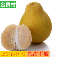 正宗容县沙田柚子广西新鲜水果纯甜自良沙田柚非蜜柚12斤【三天内发货】