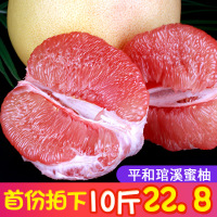 福建平和琯溪蜜柚红心柚子10斤红肉新鲜当季水果 当天摘三红柚【三天内发货】