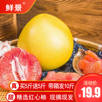 福建平和管溪蜜柚红心柚子净重10斤红肉新鲜当季水果【三天内发货】