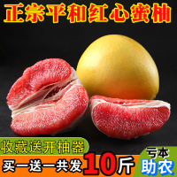 福建平和红心柚子10斤新鲜当季水果管溪红肉蜜柚孕妇营养水果【三天内发货】