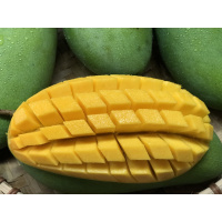 十斤实惠装果园青皮芒果新鲜水果整箱8斤装玉芒当季应季大芒果[三天内发货]