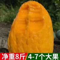 大芒果青芒当季新鲜水果青皮广西金煌芒非攀枝花凯特贵妃芒【三天内发货】