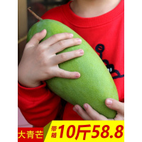 10斤超大青芒果芒果新鲜 大青芒特大金煌应季水果大芒果带箱[三天内发货]