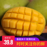 云南新鲜芒果当季芒果净果9斤新鲜水果 越南青芒果玉芒香芒果【三天内发货】
