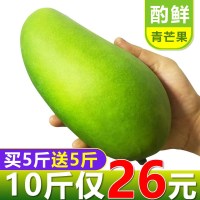 四川攀枝花凯特芒果青芒新鲜整箱金10斤金煌忙果非百色一级特大【三天内发货】