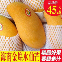 海南新鲜三亚攀枝花芒果水仙芒10斤季大金金煌芒果贵妃非超大特大【三天内发货】
