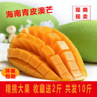 芒果海南新鲜水果青皮澳芒三亚特大青芒凯特10斤装【三天内发货】