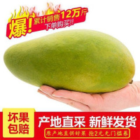 广西海南金煌水仙芒果新鲜10斤青芒甜心非攀枝花凯特芒贵妃香忙大[三天内发货]