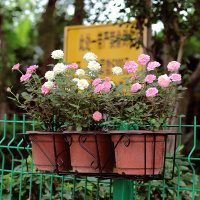 简约阳台花架铁艺悬挂式栏杆花架长方形花盆架阳台种菜多肉花架子