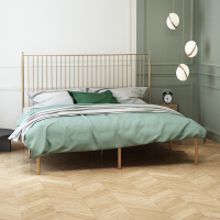 欧式环保公主铁艺床铁架双人单人成人儿童1.2 1.5 1.8米