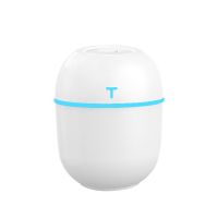 usb加湿器 卧室静音办公家用车载净化增湿喷雾创意迷你夜灯保湿仪|彩蛋白色[充电版] 棉棒+充电线+小夜灯+小风扇