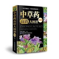 中草药高清大图谱(典藏版) 彩图 中医中药 本草纲目认识识别中药材图鉴 实用鉴别中草药图书大 97875335489