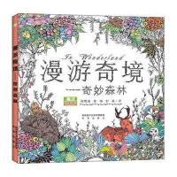  漫游奇境 奇幻森林 创意涂鸦填色簿 画画本 涂色 成人涂色减压利器填色书 奇幻梦境涂色解压 97875417590