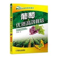    葡萄优质高效栽培 农业农作物葡萄水果高效种植栽培技法 优质高产栽培技术指南 葡萄驱虫施 97871115210