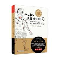    人体经筋循行地图 作者 刘春山 刘菏婧 中国针灸学会针灸灸法分会副主任委员吴中朝倾力推 97875046729