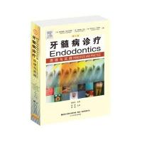 牙髓病诊疗原理与实践(第5版)第五版 高原 薛晶 牙髓病学临床病例现代根管治疗技术  辽宁科 97875591011