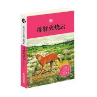 母豺火烧云 彩插本 动物小说大王沈石溪品藏书系 9-10-12岁儿童文学青少年小学生课外书动 97875597002