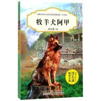 牧羊犬阿甲(升级版)/动物小说大王沈石溪自选精品集 包含虎女蒲公英沈石溪动物小说书籍9-12 97875397978