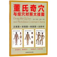  董氏奇穴与经穴对照大挂图 经络穴位大挂图 中医养生书籍 针灸推拿按摩  9787506797320