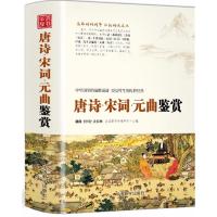 唐诗宋词鉴赏辞典 元曲合集词典古文 唐诗三百首 古诗词鉴赏赏析 古诗文诵读与鉴赏 中国诗词歌 97875138154