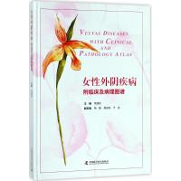 女性外阴疾病 附临床及病理图谱 对女性外阴60余种疾病分析点评 图片典型、清晰文字精炼 常建 97875046768