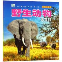 野生动物大百科大搜索书动物小眼睛看世界 彩图注音版 5-6-7-8-9-12岁我的野生动物朋 97875498380