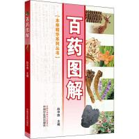 百药图解 本草精华系列丛书 彩图版 赵中振主编  100多味中药科普书籍 9787513250351