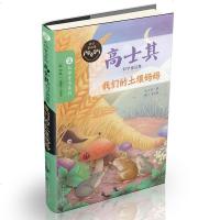我们的土壤妈妈 高士其科普童话 书   科学童话集 大师童书系列 小学生儿童文学三四五六年级 97873051749