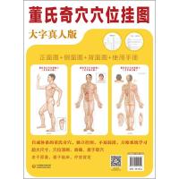 董氏奇穴穴位挂图 杨朝义 2019-07-01出版  9787521411829 平装