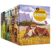 西顿野生动物故事集8册全套 彩图注音版 乌鸦队长银斑/狼王洛波/小战马/春田狐的爱6-12岁 97875397962