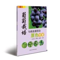葡萄病虫害原色图鉴赵奎华葡萄高效栽培与病虫害防治果树嫁接技术图解书农业书籍果树修剪书籍种植书 97875116373