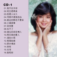 邓丽君cd专辑碟片经典老歌怀旧珍藏精选歌曲无损车载黑胶唱片 201907011448