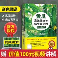 黄瓜高效栽培与病虫害防治彩色图谱 扫码看视频 轻松学技术病虫害防治 蔬菜安全用药指南 黄瓜栽 97871092337