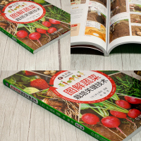 蔬菜种植技术大全 图解蔬菜栽培关键技术 掌握蔬菜栽培要点 土豆萝卜辣椒种植书 蔬菜种植书籍大 97875664066