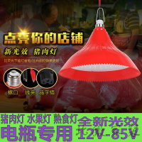 充电LED灯泡低压12V熟食卤菜水果猪肉灯48v夜市摆地摊灯led电瓶灯 45瓦 [红光+白光]3米线夹插 其它