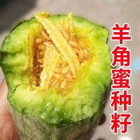 下半年蔬菜种子种籽香菜韭菜四季阳台各种盆栽菜籽种大全孑菜莱 银色羊角蜜种100粒试
