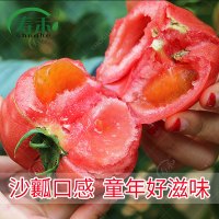 下半年蔬菜种子种籽香菜韭菜四季阳台各种盆栽菜籽种大全孑菜莱 大粉番茄种子30粒散装