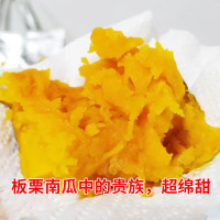 新疆丑瓜贵族南瓜种子种籽苗金丝栗瓜板栗味贝贝蔬菜孑高产香甜小 贵族南瓜10粒试种装