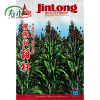 甘蔗种籽种子苗孑 青皮甜高粱小北方南方四季甜杆种植水果高粱杆 棵棵甜甜杆种子10g原装