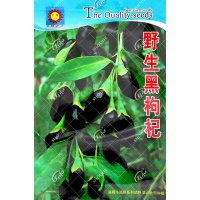 黑枸杞种子宁夏种籽孑野生药用特色蔬菜材四季中药
