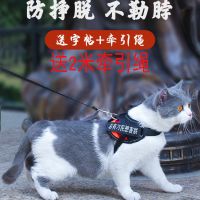 猫咪牵引绳防挣脱专用溜猫绳遛猫绳背心式背带项圈栓小猫绳子猫链