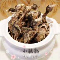 宠物猫狗食冻干肉干鸭肉鸡肉鹌鹑鱼肉补营养增肥发腮亮毛幼猫粮|冻干鹌鹑 10g试用装