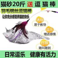 猫砂10公斤柠檬香除臭结团无尘膨润土猫砂10/20斤